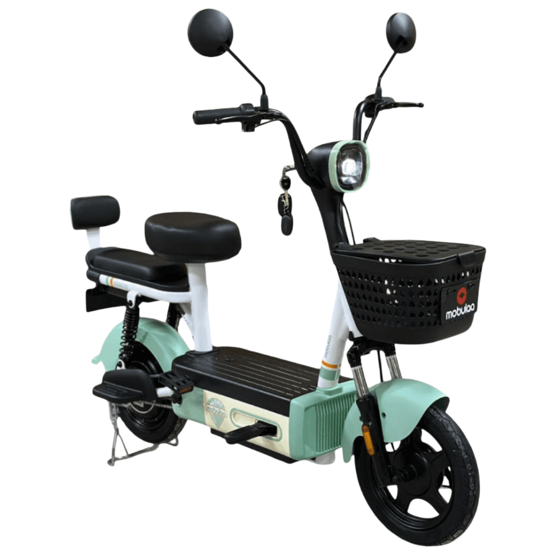 Moto Eléctrica Mobulaa - EB-2S CAMELLITO